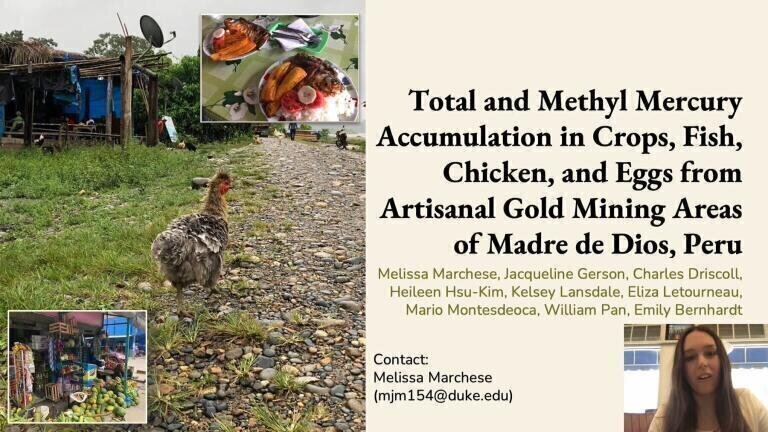 Total and Methyl Mercury Accumulation in Crops, Fish, Chicken, and Eggs from Artisanal Gold Mining Areas of Madre de Dios, Peru